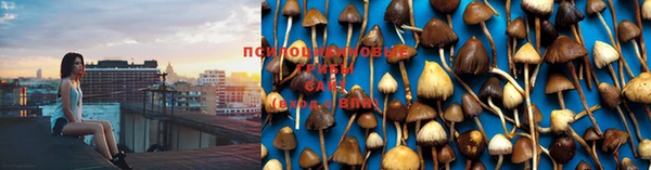 гашиш Лиски
