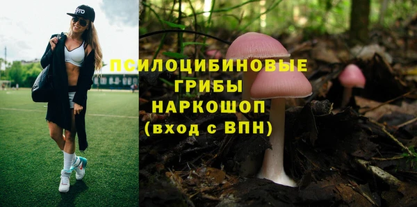 мескалин Лихославль