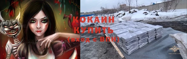тгк Магас