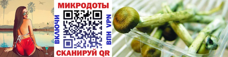 Псилоцибиновые грибы ЛСД  hydra как войти  Холм 